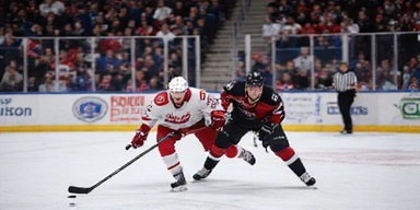 Ice hockey players in action